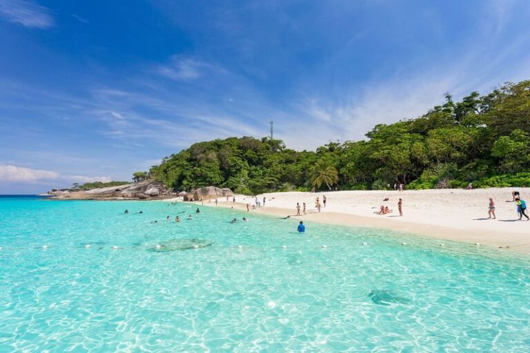 From Phuket: Similan Islands Luxury Trip by Speed Catamaran - The speed catamaran and the open-sea crossing