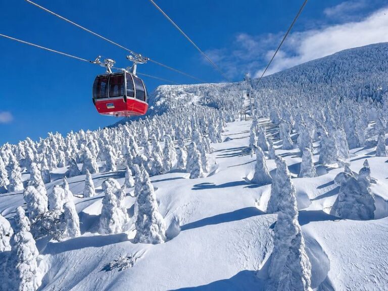 From Sendai: Ginzan Onsen& Zao Frost-Covered Trees& Fox Village Tour - Fox Village: a close look, with sensible limits