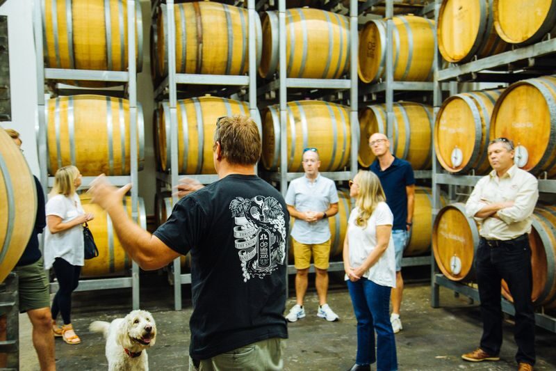 From Sydney: Hunter Valley Wine Tasting Tour - A behind-the-scenes look at wine production