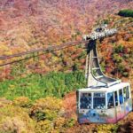 From Tokyo: Day Trip to Hakone self guided tour with Hakone Free pas - The Limited Express Odoriko journey