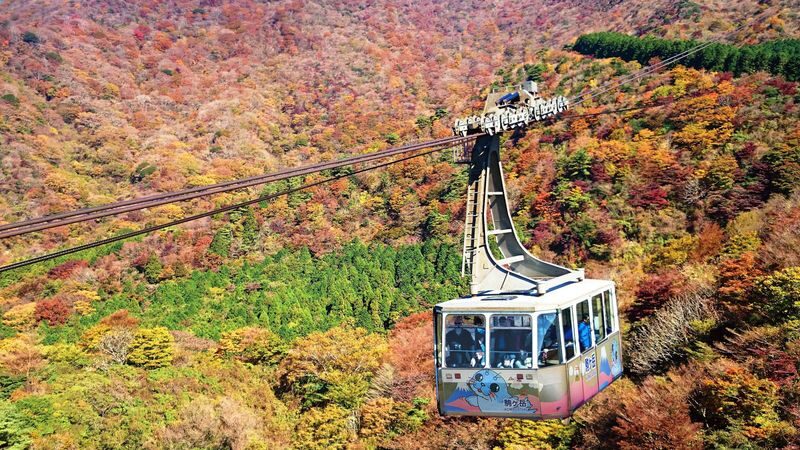 From Tokyo: Day Trip to Hakone self guided tour with Hakone Free pas - The Limited Express Odoriko journey