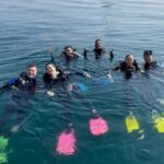 Fujairah 2-Tank Diving Experience from Dubai - At Nemo Diving Center: certification, briefing, and gear