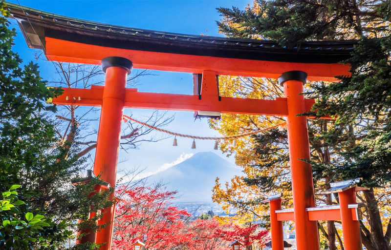 Fuji Photography Tour: Arakurayama Sengen Park, Hikawa Clock Shop, Oshino Hakkai, the most beautiful Lawson convenience store, and Lake Kawaguchiko Oishi Park (Departure from Tokyo). - Arakurayama’s 397 steps lead to the signature view