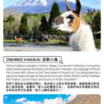 Fuji Safari Park, Oshino Hakkai, and Lake Kawaguchiko Oishi Park Flower Viewing Day Trip for Families (Round Trip from Tokyo Shinjuku) - Fuji Safari Park: the biggest time commitment