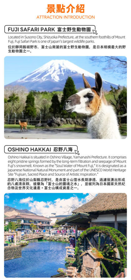 Fuji Safari Park, Oshino Hakkai, and Lake Kawaguchiko Oishi Park Flower Viewing Day Trip for Families (Round Trip from Tokyo Shinjuku) - Fuji Safari Park: the biggest time commitment