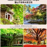 Fukuoka Coast: 6 Major Attractions Day Trip, Experience Romantic Swings - Shiraito Falls brings a cooler start