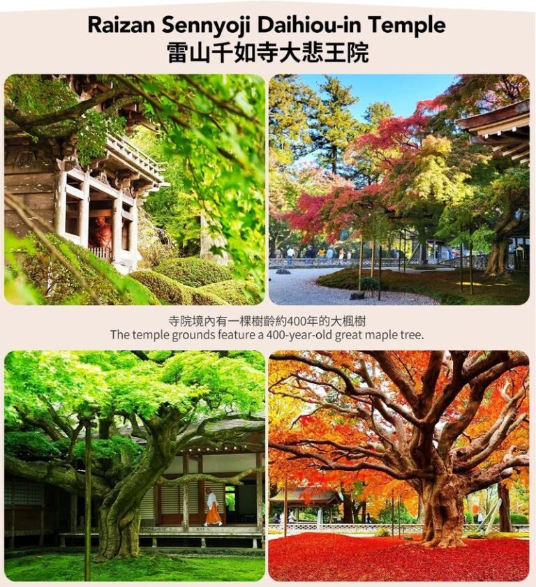 Fukuoka Coast: 6 Major Attractions Day Trip, Experience Romantic Swings - Shiraito Falls brings a cooler start