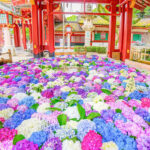Fukuoka Dazaifu Tenmangu & Yufuin Full-Day Tour - Yufuin adds a change of scene