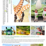 Fukuoka Departure: Yufuin (Yunohira) & Beppu Hells Hot Springs & Kyushu Natural Zoological Park Day Tour - Yufuin and Kinrinko Lake offer a softer start