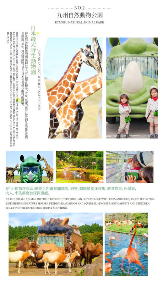 Fukuoka Departure: Yufuin (Yunohira) & Beppu Hells Hot Springs & Kyushu Natural Zoological Park Day Tour - Yufuin and Kinrinko Lake offer a softer start