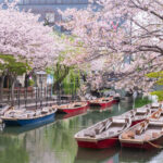 Fukuoka Full-Day Dazaifu, Yanagawa Boating & Outlets Tour - Dazaifu brings in shrine culture and local shops