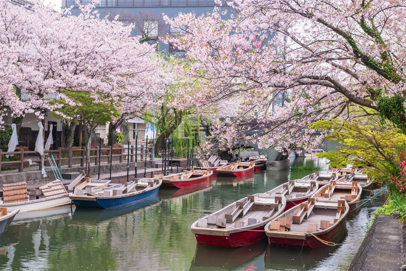 Fukuoka Full-Day Dazaifu, Yanagawa Boating & Outlets Tour - Dazaifu brings in shrine culture and local shops