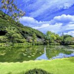 Fukuoka Full-Day Private Chartered Tour - Choosing a route around Yufuin