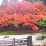 Fukuoka Itoshima Day Trip, Japan | Shiraito Falls, Ichiran Forest, Totoro Forest, and Instagram-worthy Spots (Chinese/English/Cantonese Guide) - Shiraito Falls: a cool start in the hills