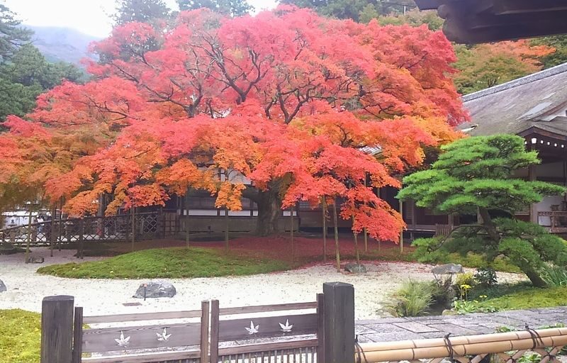 Fukuoka Itoshima Day Trip, Japan | Shiraito Falls, Ichiran Forest, Totoro Forest, and Instagram-worthy Spots (Chinese/English/Cantonese Guide) - Shiraito Falls: a cool start in the hills
