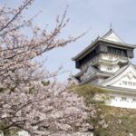 Fukuoka private car charter service: Mojiko, Karato Market, Kokura Castle, Miyajidake Shrine, Munakata Taisha, Kawachi Wisteria Garden, Sarakurayama night view, etc. - Choosing a route that fits the day