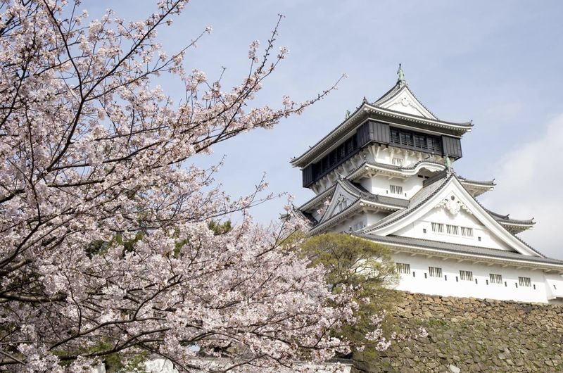 Fukuoka private car charter service: Mojiko, Karato Market, Kokura Castle, Miyajidake Shrine, Munakata Taisha, Kawachi Wisteria Garden, Sarakurayama night view, etc. - Choosing a route that fits the day