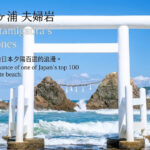 Fukuoka Shiraito Falls & Itoshima Coastal Day Tour - A woodland café and the Totoro Forest