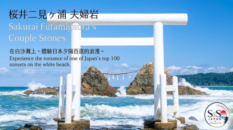 Fukuoka Shiraito Falls & Itoshima Coastal Day Tour - A woodland café and the Totoro Forest