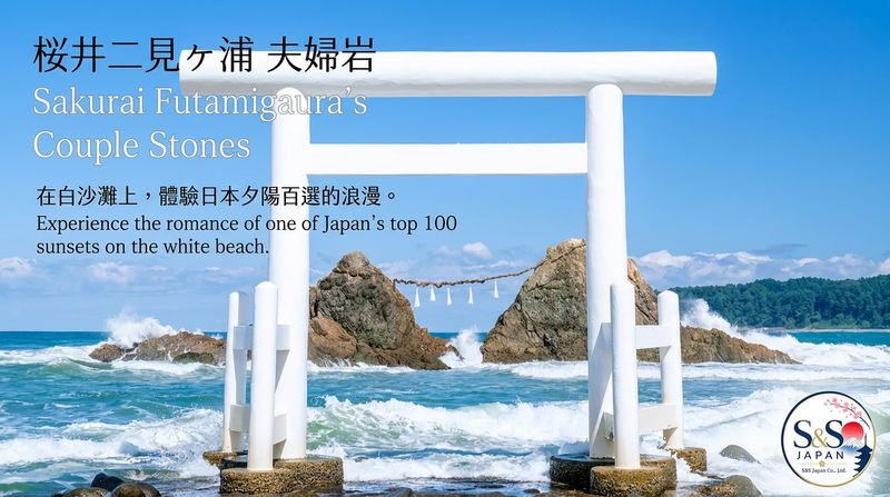 Fukuoka Shiraito Falls & Itoshima Coastal Day Tour - A woodland café and the Totoro Forest