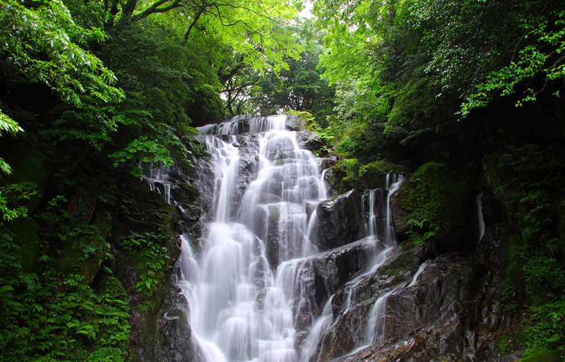 Fukuoka Shiraito Falls & Itoshima Scenic Spots Full-Day Tour - Shiraito Falls: the natural highlight