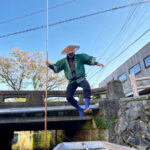 Fukuoka: Yanagawa Boat with Ticket & Dazaifu or Ukiha-Inari - Dazaifu adds shrine grounds, bridges and snacks