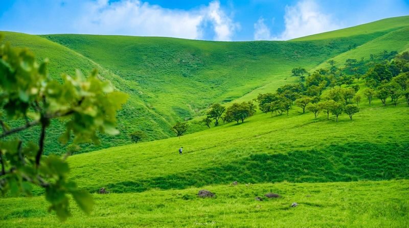 Fukuoka & Yufuin & Kyushu Safari Park Day Tour (Optional Yufuin no Mori Train Experience) - Yufuin: a town stop with room to explore