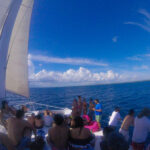 Full-Day Cruise of Isla Saona from Punta Cana with Lunch - The 7:00 a.m. pickup sets the pace