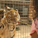 Full Day Pass | Angkor Wildlife & Aquarium - Conservation Is Part of the Visit