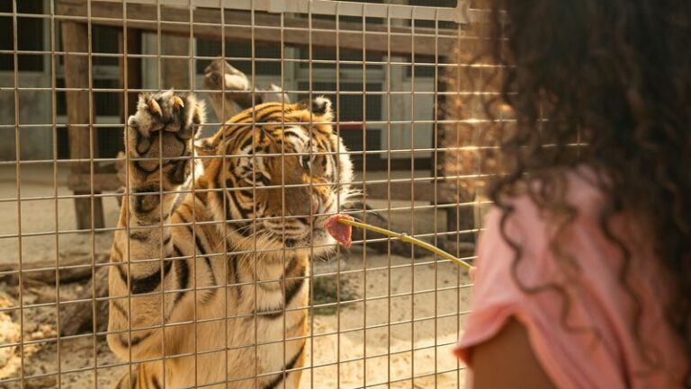 Full Day Pass | Angkor Wildlife & Aquarium - Conservation Is Part of the Visit