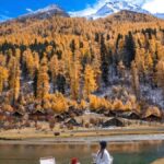 Full-day tour to Bipenggou, Chengdu, experience the beautiful nature - The views: mountains, open grassland, and blue water