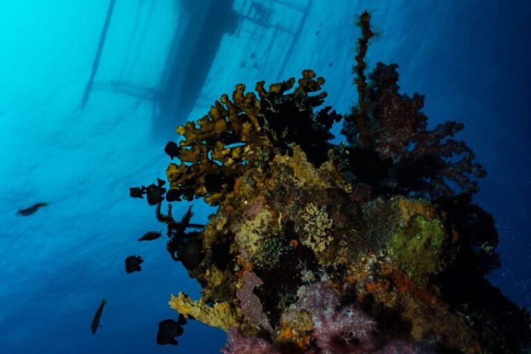 Fun Dives in Boracay - Who should book this package
