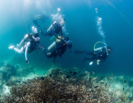 Fun Diving in Mactan or Hilutungan Island - A 07:00 Start and a 13:00 Return