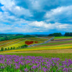 Furano & Biei Chartered One Day Tour: Explore Hokkaidos Beauty - Blue Pond: a brief, striking first stop