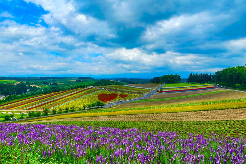 Furano & Biei Chartered One Day Tour: Explore Hokkaidos Beauty - Blue Pond: a brief, striking first stop
