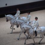 Furusiyya: The Return to Origins - ADREA Show Ticket - Choosing your seat and ticket category