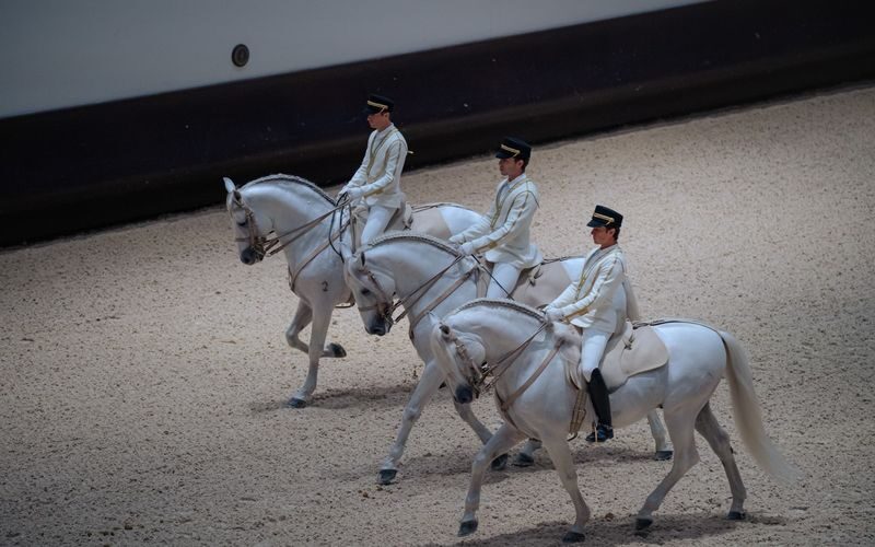 Furusiyya: The Return to Origins - ADREA Show Ticket - Choosing your seat and ticket category