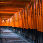 Fushimi Inari-taisha, Arashiyama, Kiyomizudera, Kinkaku-ji Day Tour - Kinkaku-ji: a short stop for Kyoto’s Golden Pavilion