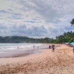 Galle and Surrounding Areas Full Day Tour - Kosgoda Turtle Hatchery: an included admission