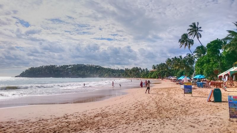 Galle and Surrounding Areas Full Day Tour - Kosgoda Turtle Hatchery: an included admission