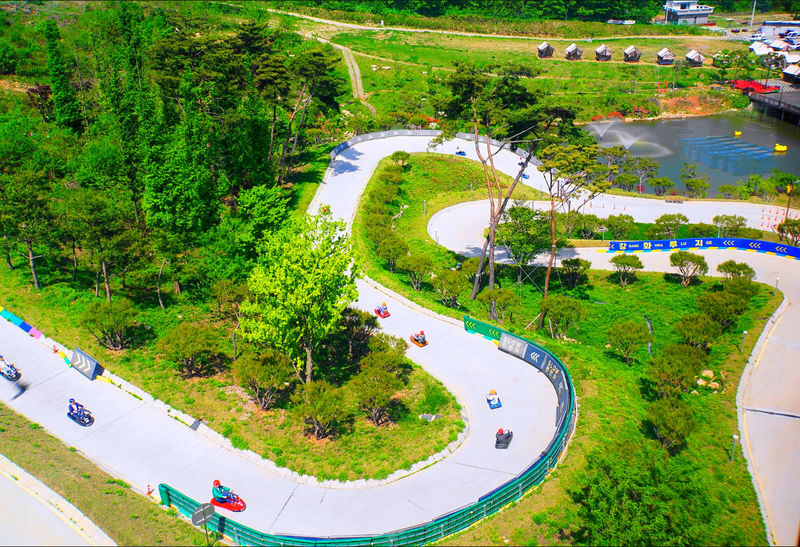 Ganghwa Luge + Aegibong + K-Food Experience Tour - Five luge runs make the outing more than a photo stop