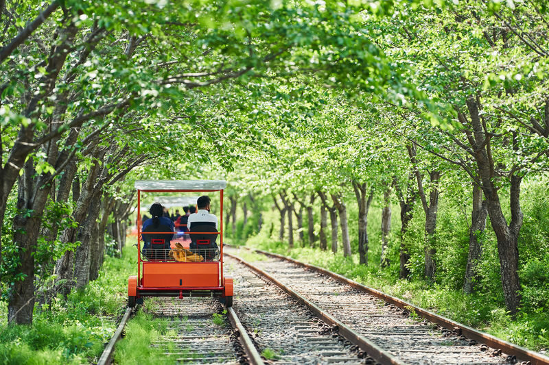 Gapyeong Rail Bike Experience Ticket - Exchanging your voucher and boarding