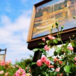 Garden Museum Hiei - The journey from Yase-Hieizanguchi to the summit