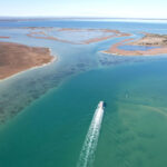 Giant & Dolphin Sightseeing Cruise Tour - From Mandurah Terrace to the wetlands