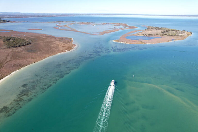 Giant & Dolphin Sightseeing Cruise Tour - From Mandurah Terrace to the wetlands