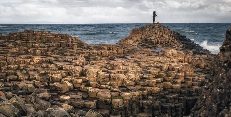 Giants Causeway, Dark Hedges & Belfast City Tour from Dublin - Walking beneath the Dark Hedges