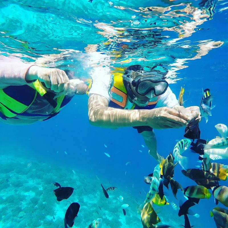 Gili Air Island Snorkeling Tour in Lombok - Snorkeling around Gili Trawangan and Gili Meno