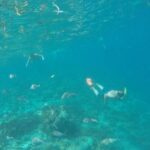 Gili Nanggu, Gili Kedis, Gili Sudak Day Tour in Lombok - Gili Nanggu is the main event