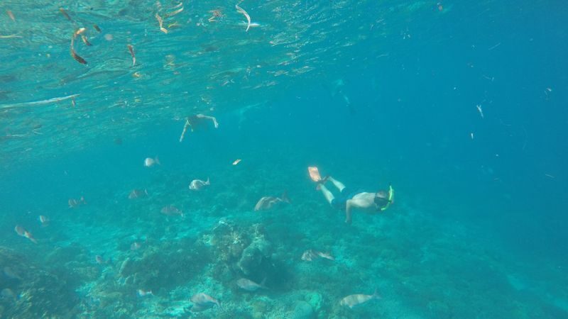 Gili Nanggu, Gili Kedis, Gili Sudak Day Tour in Lombok - Gili Nanggu is the main event