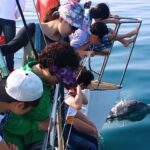 Gimnyeong Yacht Cruise Tour in Jeju - What happens from boarding to the return